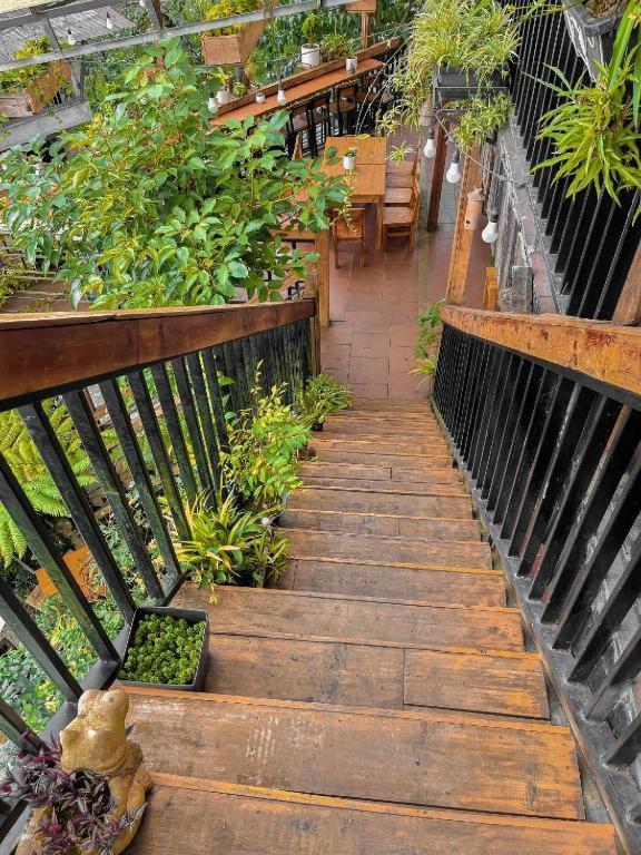 Hillside Sapa Hotel Ngoại thất bức ảnh